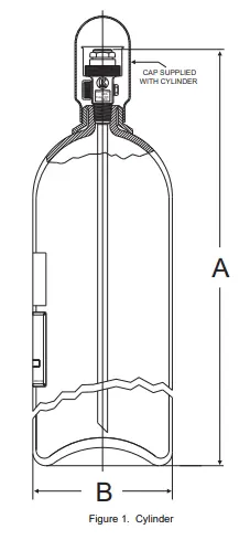 CO2 Cylinder-Valve Assembly, 100 lb (45.4 kg), Straight Siphon